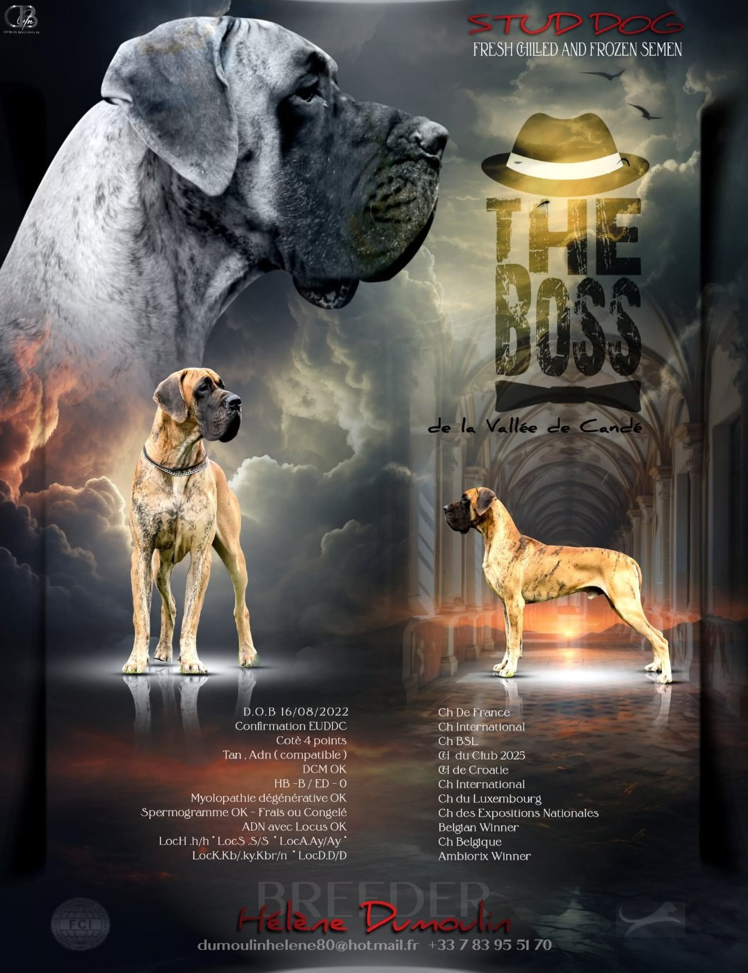 CH. the boss De la vallee de cande